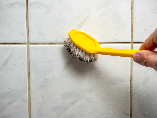 Best Residential Mold Removal  in Clayton, DE