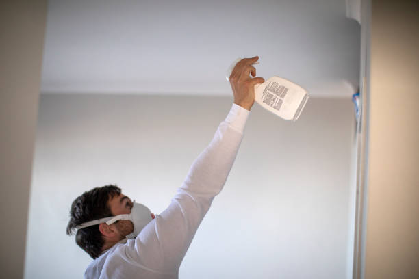 Best Office Mold Removal Services  in Clayton, DE