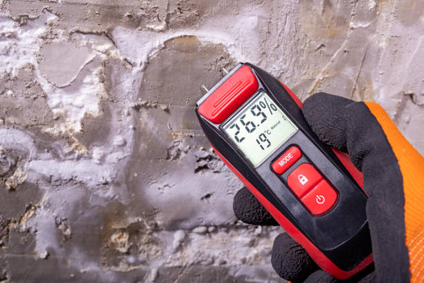 Best Commercial Mold Removal  in Clayton, DE
